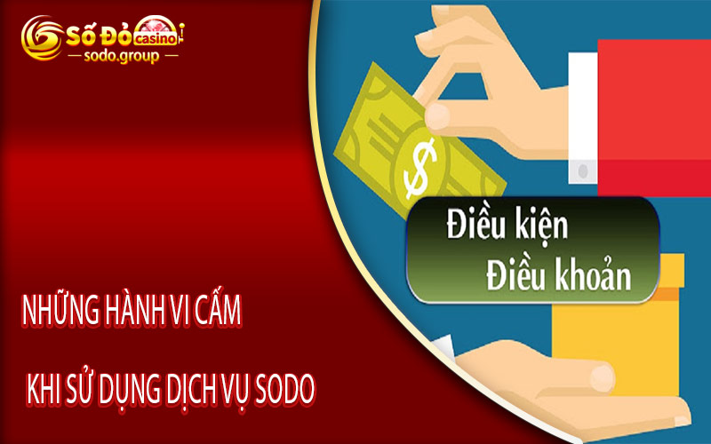 Những Hành Vi Cấm Khi Sử Dụng Dịch Vụ Sodo